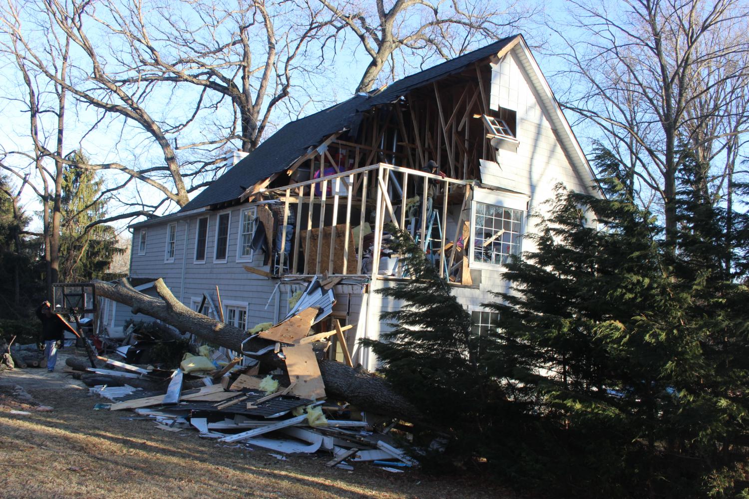 Tree damage to house